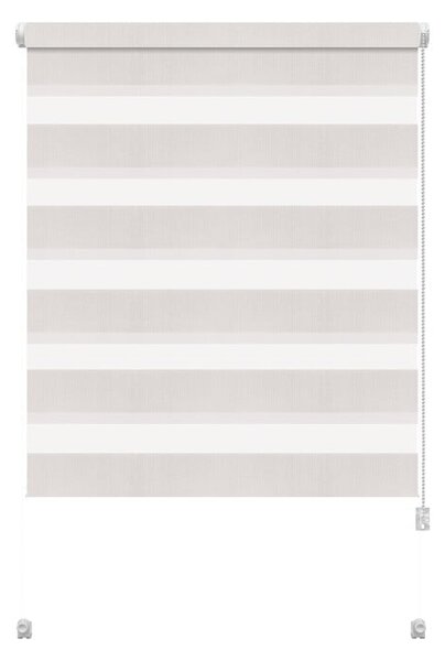 Biała roleta dzień i noc 42,5x150 cm Zebra – Gardinia