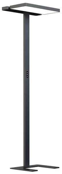 Lampa Podłogowa Arcchio, Aila, ściemnialny, czarny, gabinet | pracownia, aluminium, nowoczesny