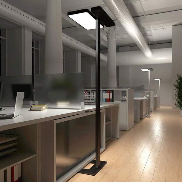 Lampa Podłogowa Arcchio, Aila, ściemnialny, czarny, gabinet | pracownia, aluminium, nowoczesny