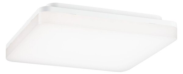 Lampa Sufitowa Paulmann, Cela, biały, przedpokój, tworzywo sztuczne, nowoczesny