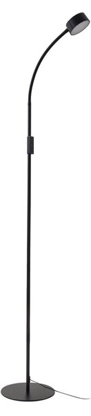 Lampa Podłogowa Lindby, Maori, ściemnialny, czarny, gabinet | pracownia, metal, nowoczesny