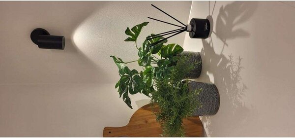 SpotOn Circle1 Lampa Sufitowa GU10 Grib Czarny - Antidark