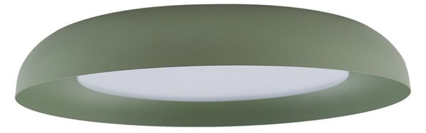 Lampa Sufitowa Lindby, Florie, zielony, salon, tworzywo sztuczne, nowoczesny