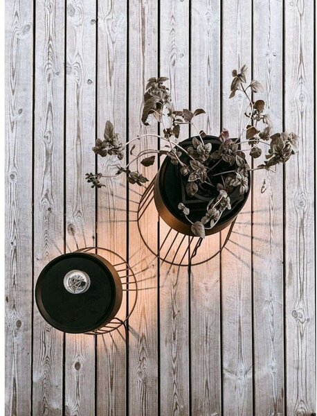 Zewnętrzna Lampa Globen Lighting, czarny, taras, metal