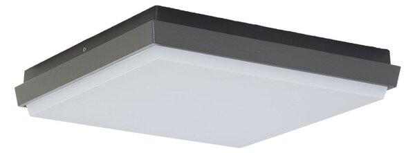 Zewnętrzna Lampa Lucande, Amra, czarny, taras, tworzywo sztuczne, nowoczesny
