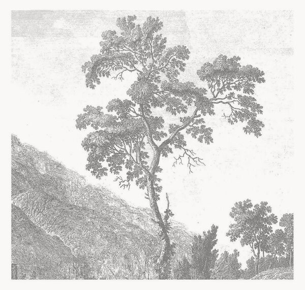 Tapeta Engraved Landscapes