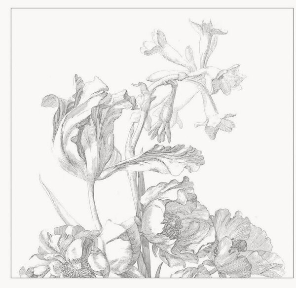 Tapeta Engraved Flowers