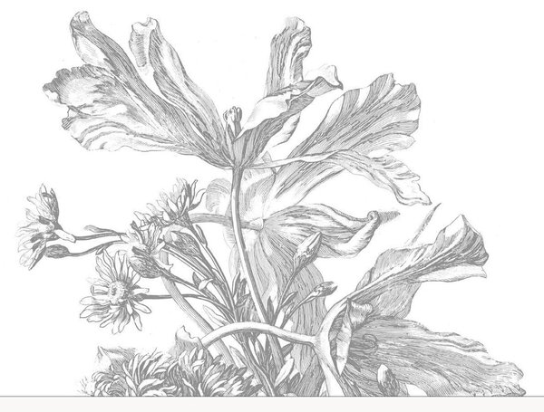Tapeta Engraved Flowers