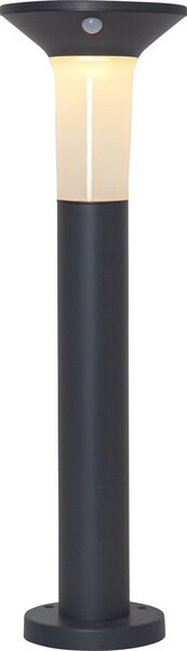 Ogrodowa lampa solarna LED Star Trading Valta