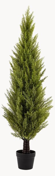 Sztuczna roślina w doniczce Cypress Bush