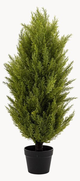 Sztuczna roślina w doniczce Cypress Bush