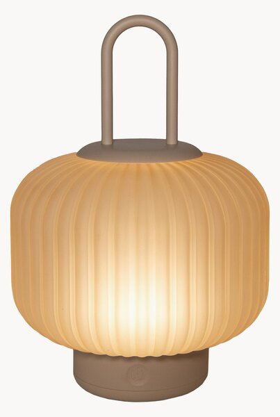 Lampa zewnętrzna LED z funkcją przyciemniania Celeste