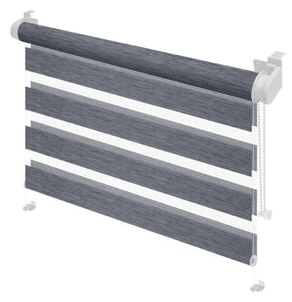 Antracytowa roleta dzień i noc 72,5x150 cm Zebra Silvalin – Gardinia