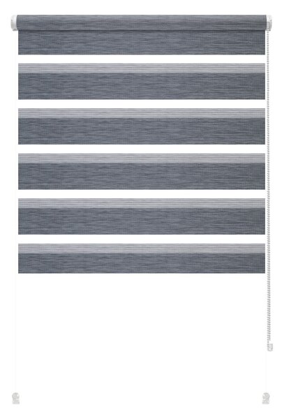 Antracytowa roleta dzień i noc 72,5x150 cm Zebra Silvalin – Gardinia