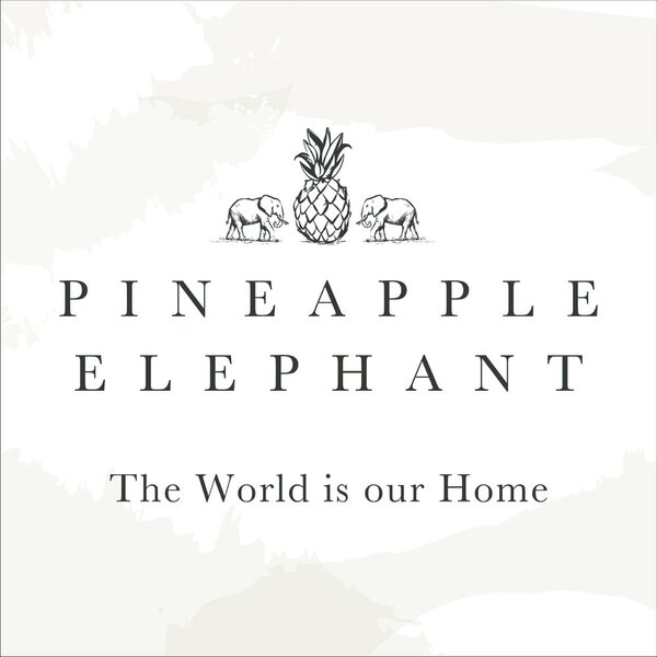 Poduszka dekoracyjna 55x55 cm Suri Geo – Pineapple Elephant