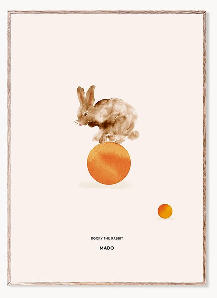 Plakat Rocky the Rabbit