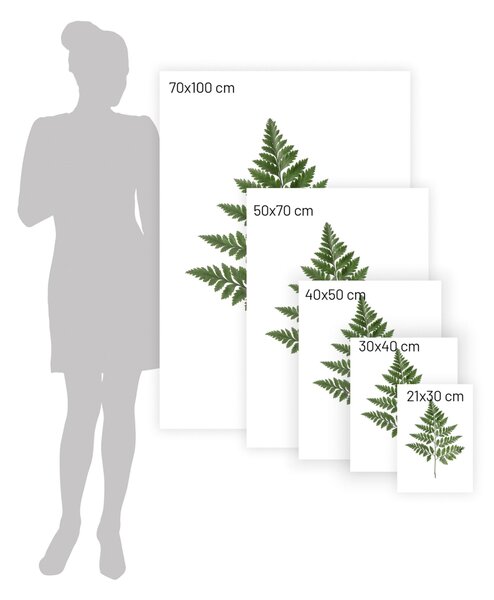 Plakat Fern Green