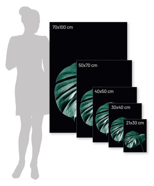 Plakat Dark Monstera