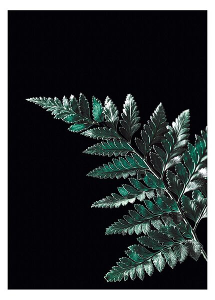 Plakat Dark Fern Leaf