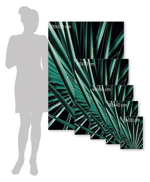 Plakat Dark Palm Tree