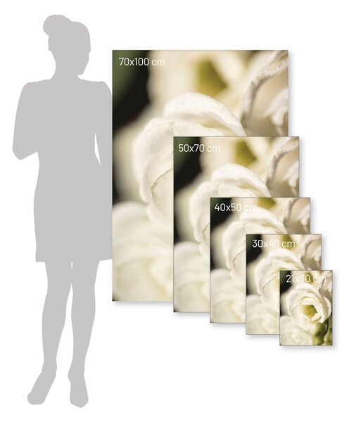 Plakat Flower Wall