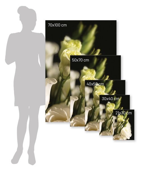 Plakat Dark Flowers I