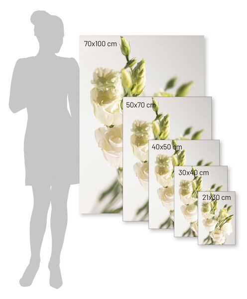 Plakat Elegant Flowers