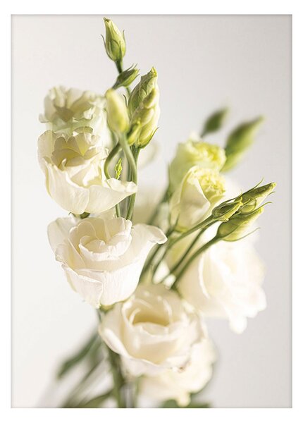 Plakat Elegant Flowers
