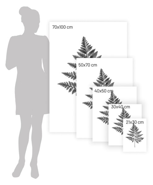 Plakat Fern Grey