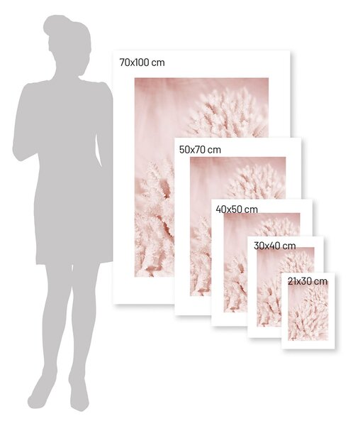 Plakat Pastel Pink II