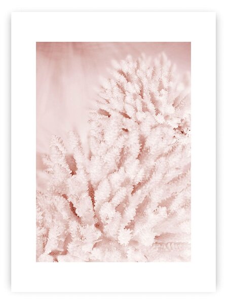 Plakat Pastel Pink II