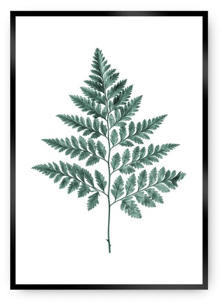Plakat Fern Emerald Green