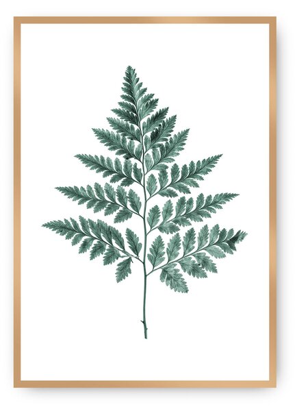 Plakat Fern Emerald Green