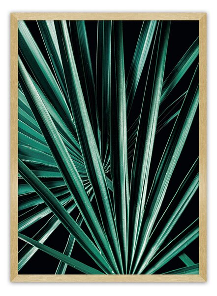 Plakat Dark Palm Tree