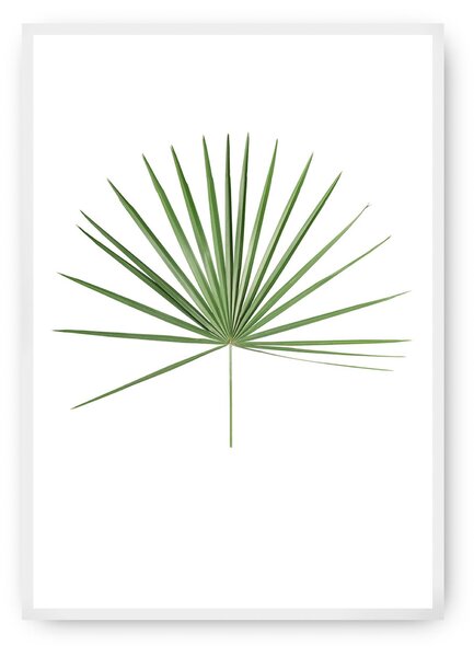 Plakat Tropical Leaf Green