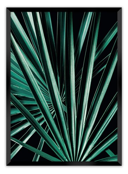 Plakat Dark Palm Tree