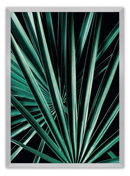 Plakat Dark Palm Tree