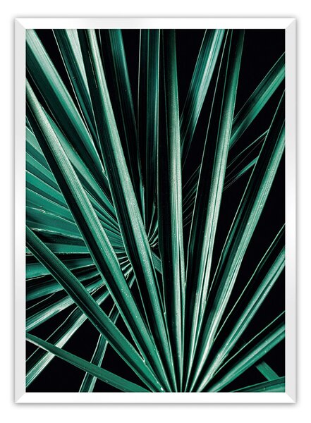 Plakat Dark Palm Tree