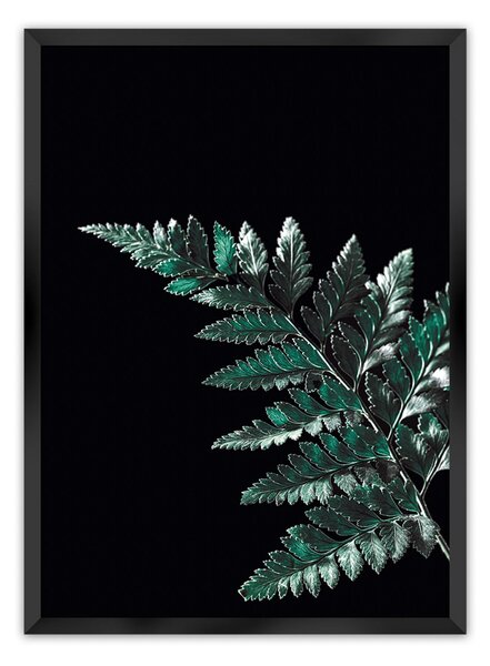 Plakat Dark Fern Leaf