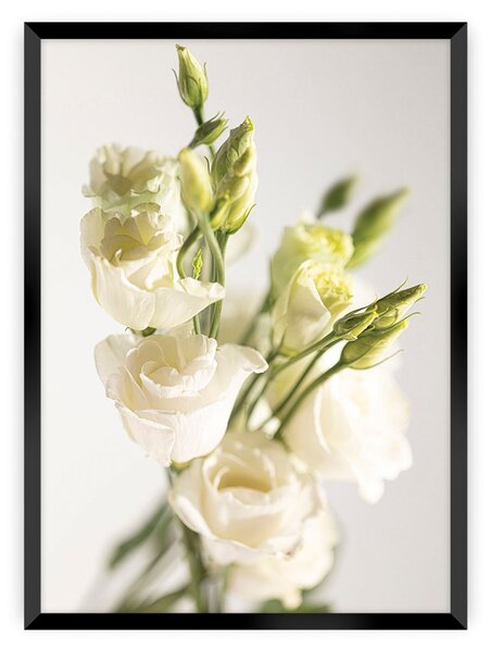 Plakat Elegant Flowers