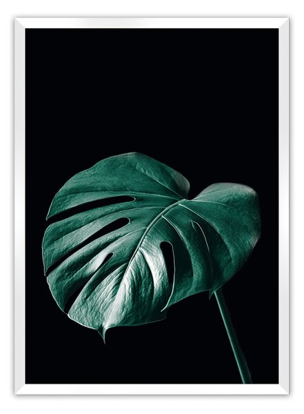 Plakat Dark Monstera