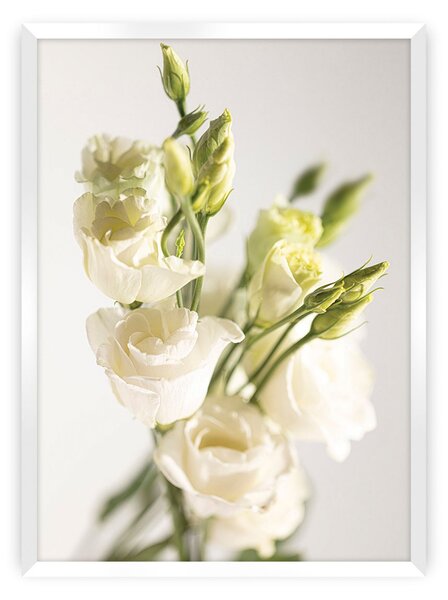 Plakat Elegant Flowers