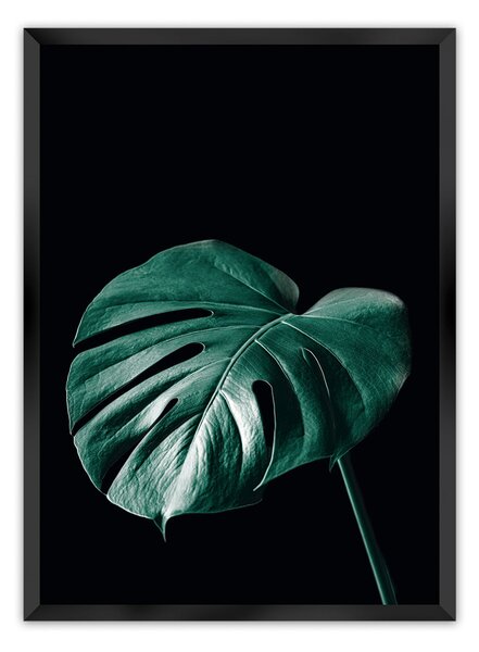 Plakat Dark Monstera
