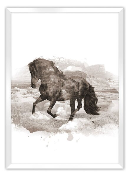 Plakat Horse