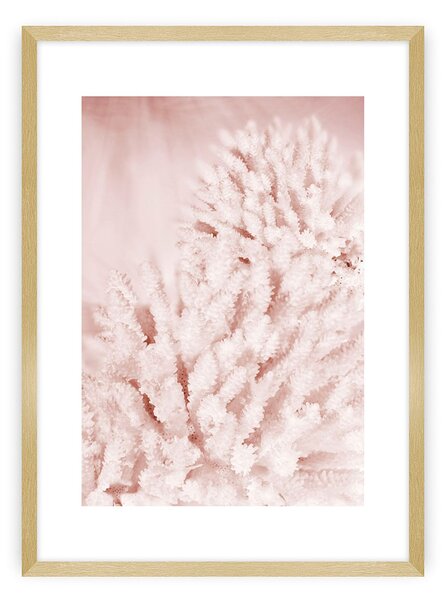 Plakat Pastel Pink II
