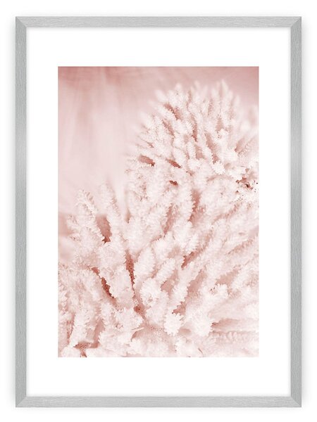 Plakat Pastel Pink II