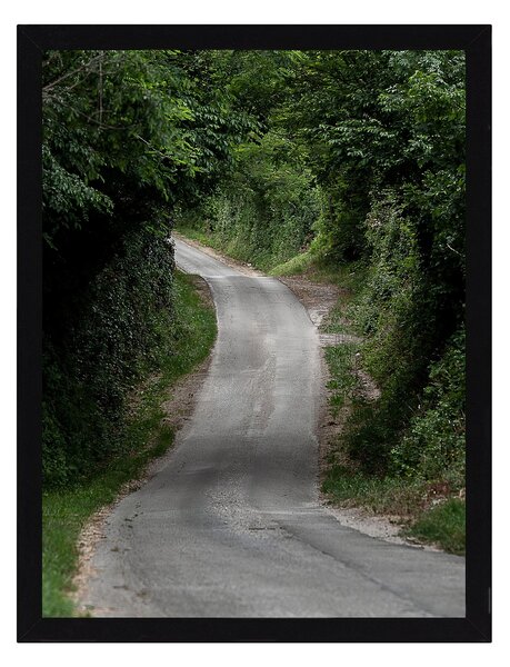 Obraz Green Road 30x40cm