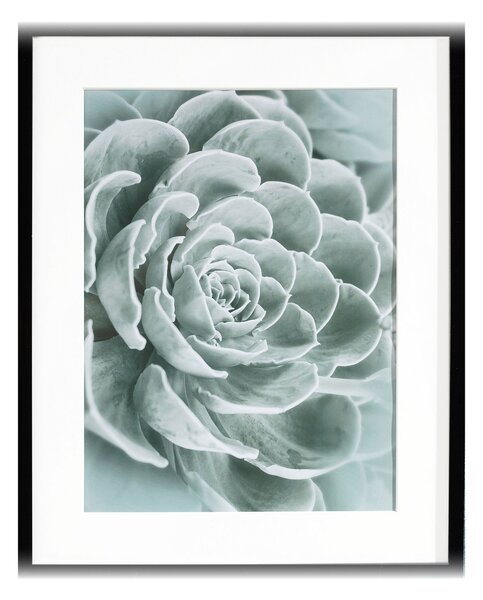 Obraz Succulents I 40x50cm