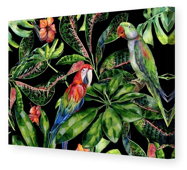 Obraz na płótnie Tropical Birds