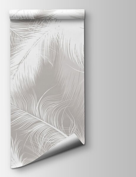 Fototapeta Białe pióra na szarym tle, Fototapety design, Popularne Fototapety, u74474 - Tapeko.pl